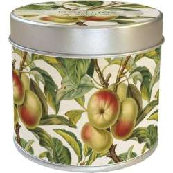 Zapachowa świeczka 204 - jabłoń - zapach jabłkowy