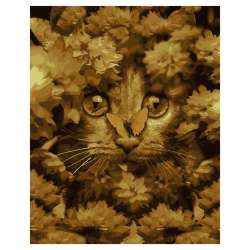 Malowanie po numerach - Mały kot w kwiatach 40x50 - 1