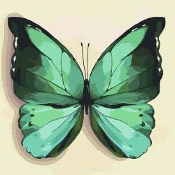 Malowanie po numerach - Zielony motyl 25x25 - 1