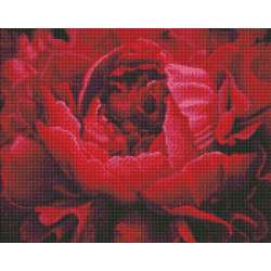 Diamentowa mozaika - Wyśmienity kwiat 40x50cm