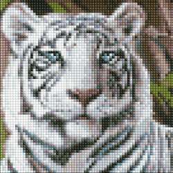 Diamentowa mozaika bez ramy - Tygrys bengalski - 1