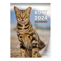 Kalendarz 2024 ścienny Koty - 1