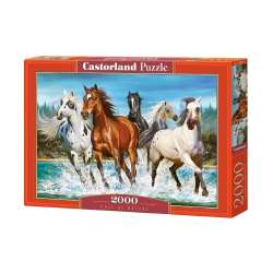 Puzzle 2000 Call of Nature CASTOR (GXP-659803) - 1