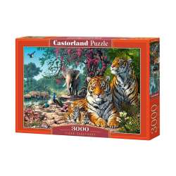 Puzzle 3000 Tiger Sanctuary - 1