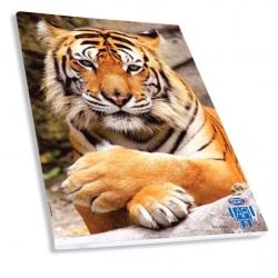 SKAG B5 'Tygrys' zeszyt z aplikacją 3D, kratka 40 kartkowy - 1