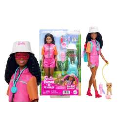 Barbiem Adventure Brooklyn