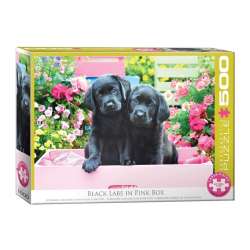 Puzzle 500 Czarne labradory w różowym pudełku XXL