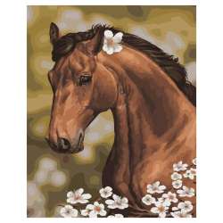 Malowanie po numerach - Koń z rumiankiem 40x50