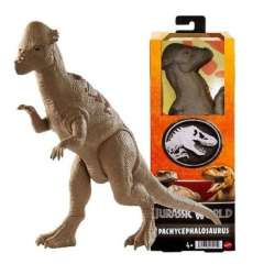 Jurassic world basic Pachycep - 1