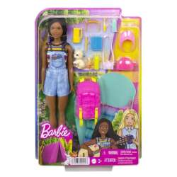 Lalka Barbie Kemping Barbie Brooklyn + akcesoria (GXP-811954) - 1