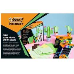 Zestaw Intensity Paper Cactus BIC