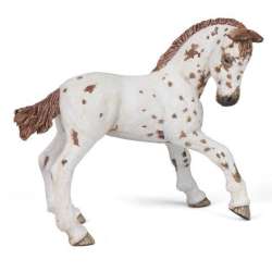 Papo 51510 żrebię Appaloosa - 2