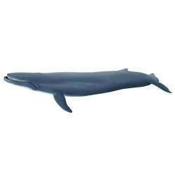 Papo 56037 Płetwal błękitny 38,5x17x7,5cm - 2