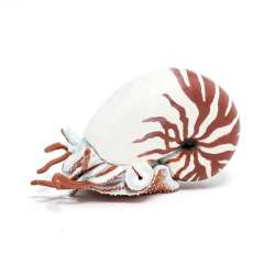 Papo 56061 Nautilus 7,5x3,8x4,5cm. (PAPO 56061) - 2