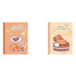 Teczka A5 4 gumką MIX