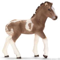 SCHLEICH 13709 ISLANDZKI KUCYK ŹREBIĘ (SLH 13709) - 2