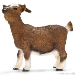 SCHLEICH 13715 KOZA KARŁOWATA (SLH 13715) - 2