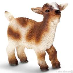 SCHLEICH 13716 DZIECKO KOZY KARŁOWATEJ (SLH 13716) - 2