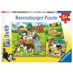 Puzzle 3x49el Słodkie pieski i kotki 080021 RAVENSBURGER (RAP 080021) - 1