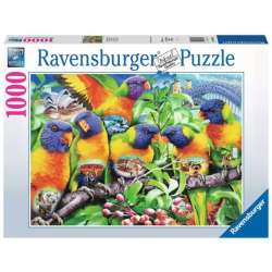 Puzzle 1000el Kraina Lorikeet 168156 RAVENSBURGER (RAP 168156) - 1