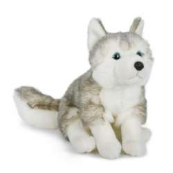 Husky 25cm - 1