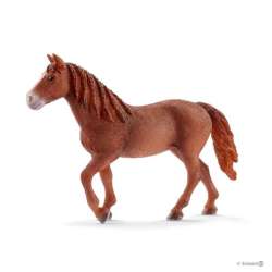 Schleich 13870 Klacz rasy Morgan (SLH 13870) - 1