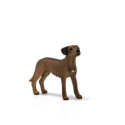 Schleich 13895 Rhodesian Ridgeback (SLH 13895) - 2