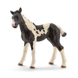 Schleich 17084 Źrebię pinto (13803) (SLH 17084) - 2