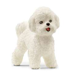 Schleich 13963 pies Bichon Frise (GXP-855927) - 1