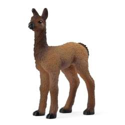 Lama mała - 1