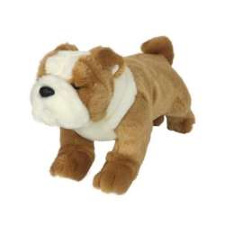 Bulldog 30cm - 1