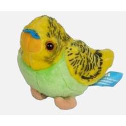 Papużka żółta 14cm - 1