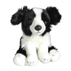 Border Collie 30cm - 1