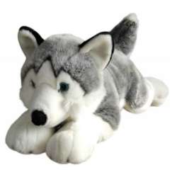 Husky 62cm