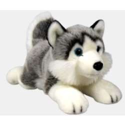 Husky 27cm