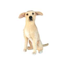 Labrador 66cm - 1