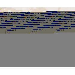 Malowanie po numerach - Magiczna bajka 40x50cm