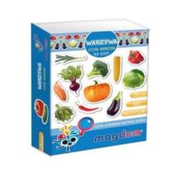 Magnesy dla dzieci Warzywa 25szt MV 6032-12 (MAL4420) - 1