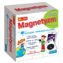 Domowe minilaboratorium - Magnetyzm - 1