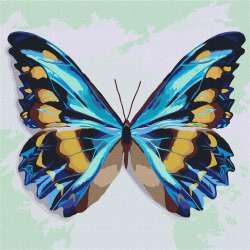 Malowanie po numerach - Błękitny motyl 25x25cm - 1