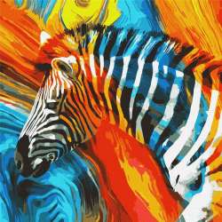 Malowanie po numerach - Kolorowa zebra 50x50cm - 1