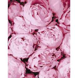 Malowanie po numerach - Różowa czułość 40x50cm - 1