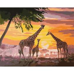 Malowanie po numerach - Rodzina żyraf 40x50cm