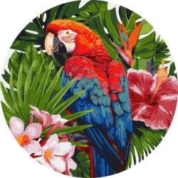 Malowanie po numerach okrągłe Jasna papuga (KHO-R1004)