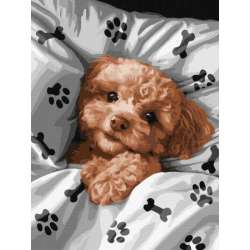 Malowanie po numerach z ramą 30x40cm Uroczy Maltipoo (KHO6538) - 1