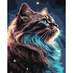 Malowanie po numerach - Magia kosmosu 40x50cm