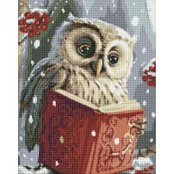 Diamentowa mozaika - Sprytna sowa 40x50cm