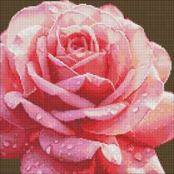 Diamentowa mozaika - Doskonała róża 40x40cm - 1