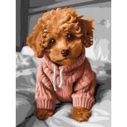 Malowanie po numerach z ramą 30x40cm Magiczny Maltipoo (KHO6589) - 1