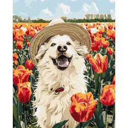 Malowanie po numerach -Szczęśliwy labrador 40x50cm - 1